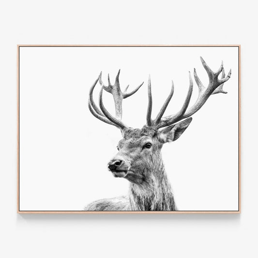 Highland Deer Canvas wall art with oak float frame