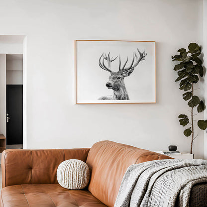 Highland-Deer-Framed-Art-Print.jpg