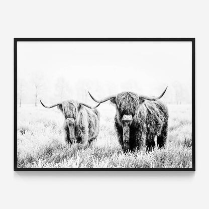Highland Pair B&W