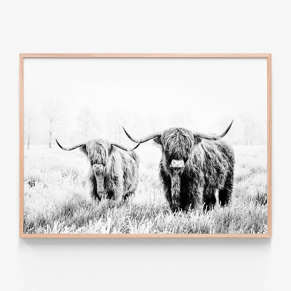 Highland Pair B&W