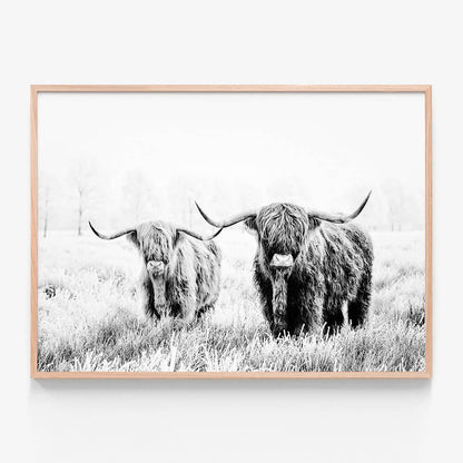 Highland Pair B&W