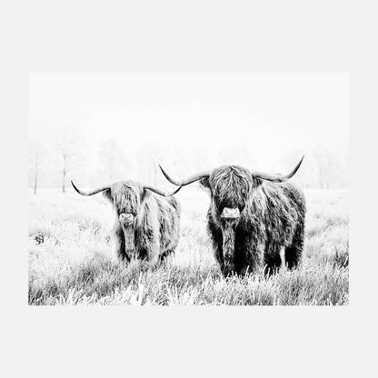 Highland Pair B&W