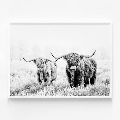 Highland Pair B&W