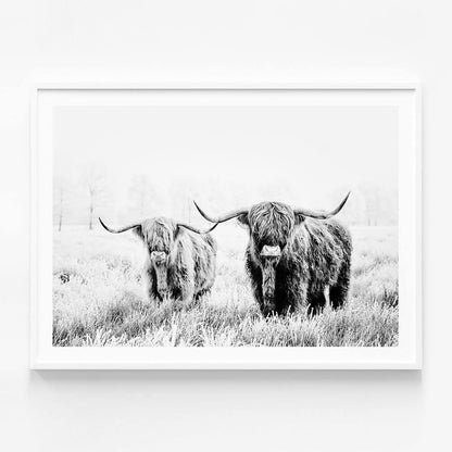 Highland Pair B&W