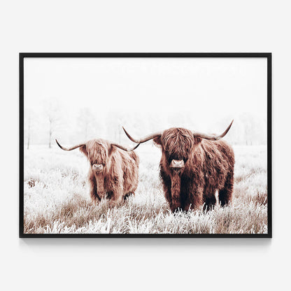 Highland Pair