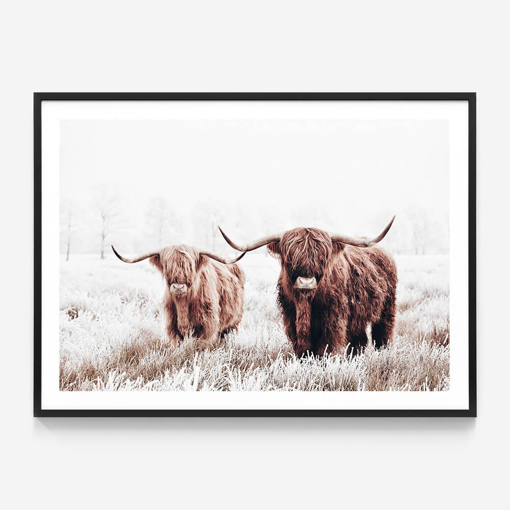 Highland Pair