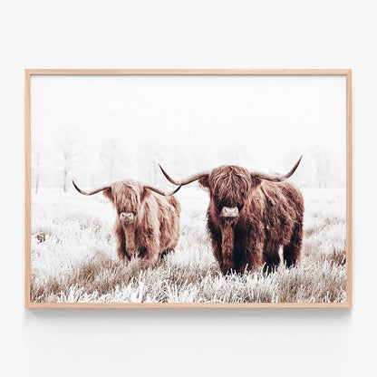 Highland Pair