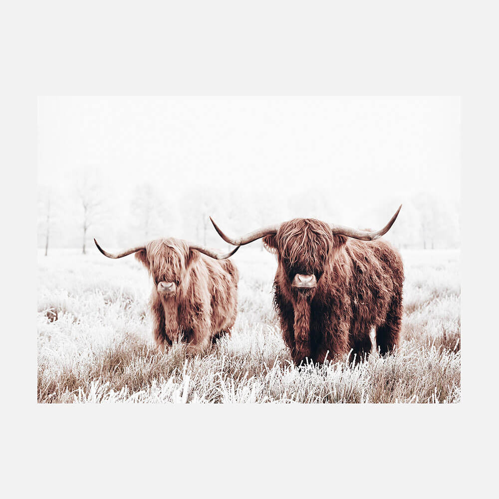Highland Pair