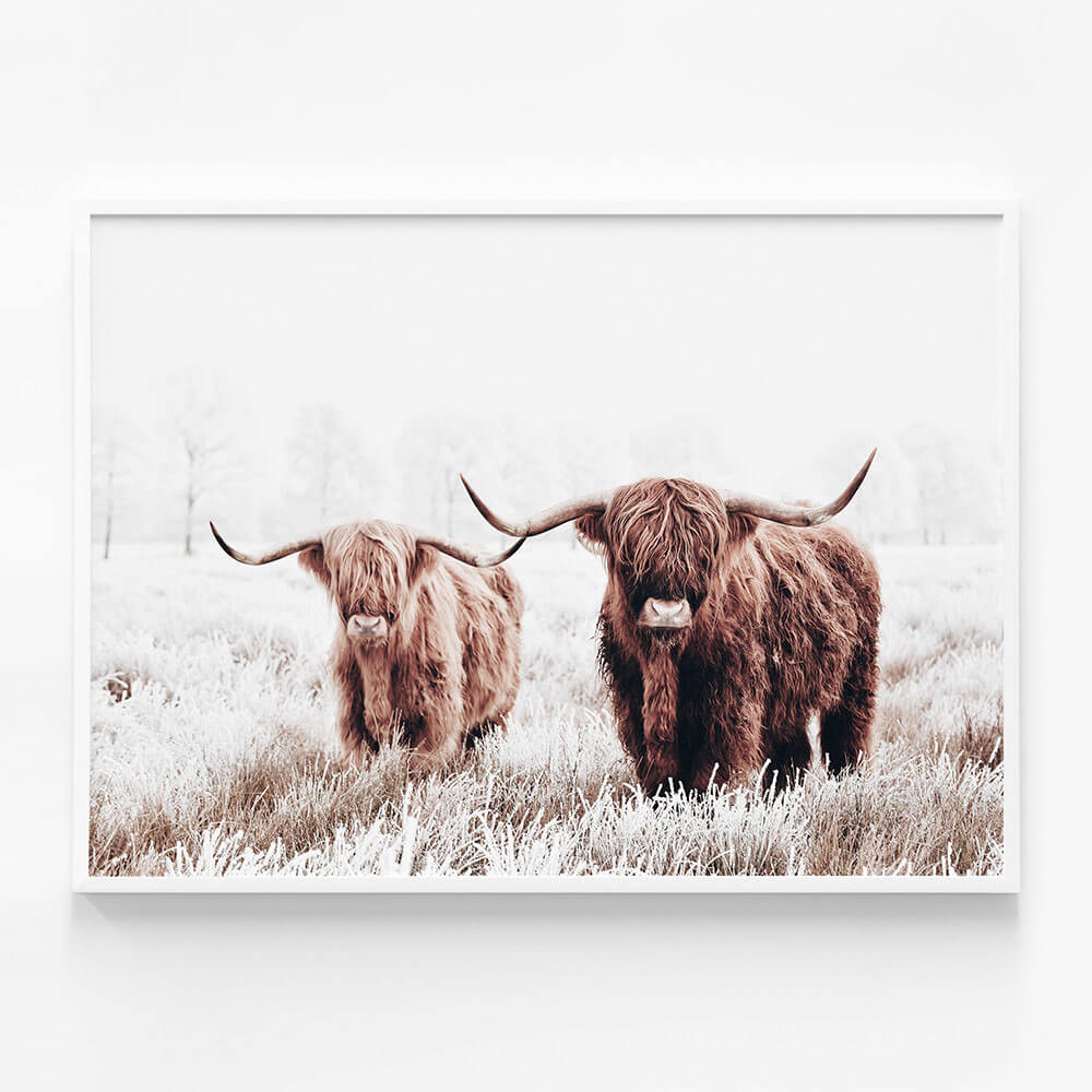 Highland Pair