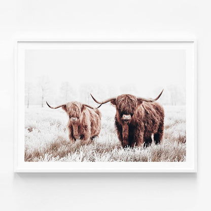 Highland Pair