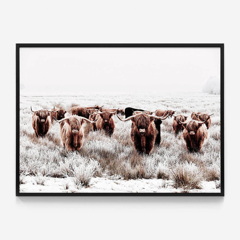 Highland Tribe