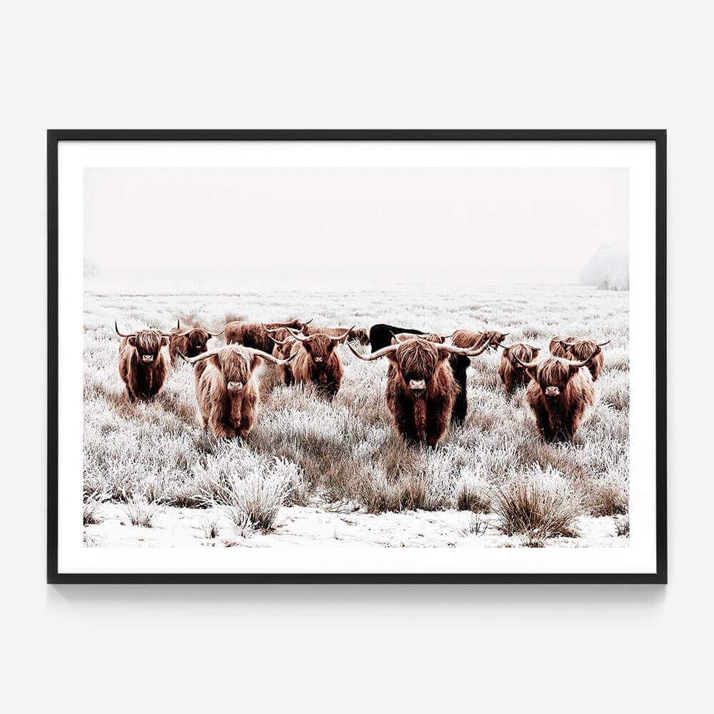 Highland Tribe