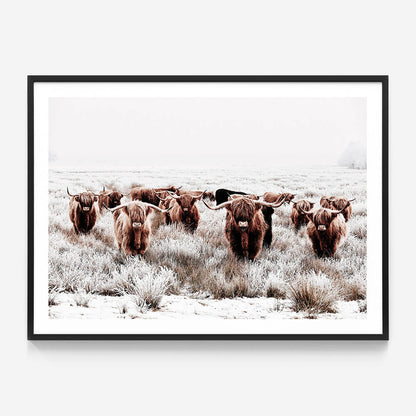 Highland Tribe