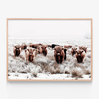 Highland Tribe
