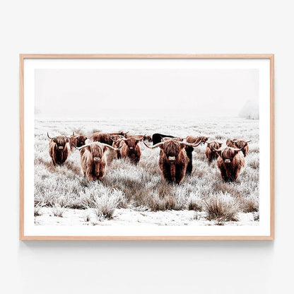 Highland Tribe