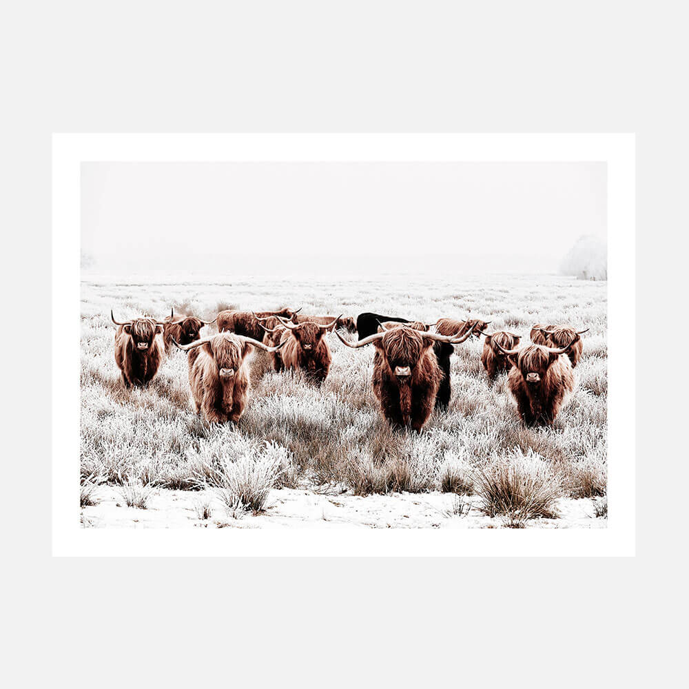 Highland Tribe