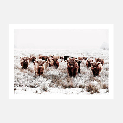 Highland Tribe