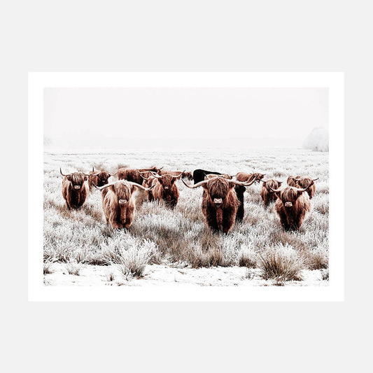 Highland Tribe