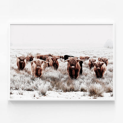 Highland Tribe