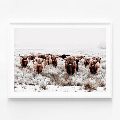 Highland Tribe