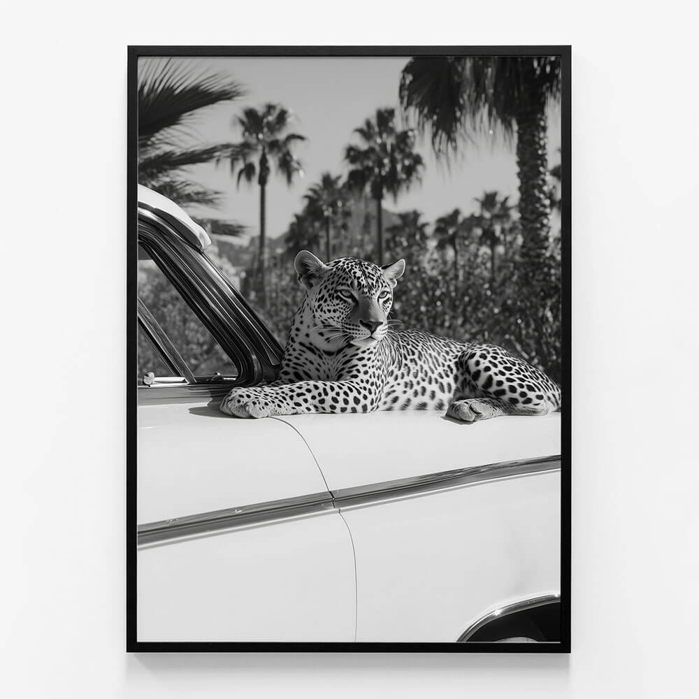 Hollywood Leopard