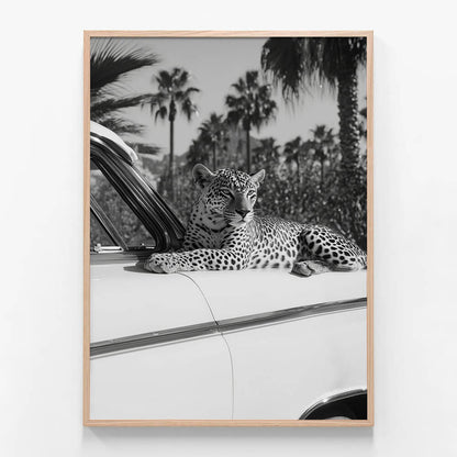 Hollywood Leopard
