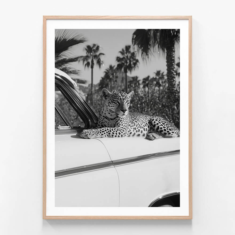 Hollywood Leopard