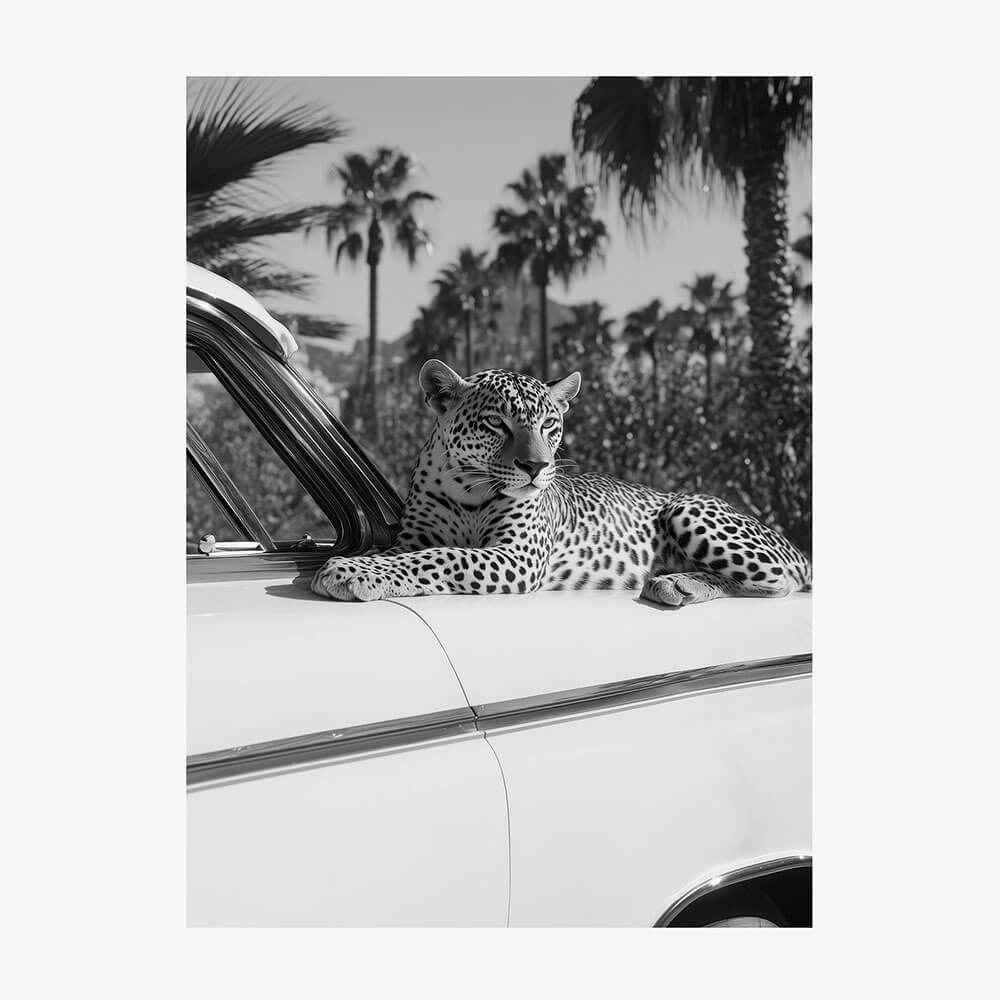 Hollywood Leopard