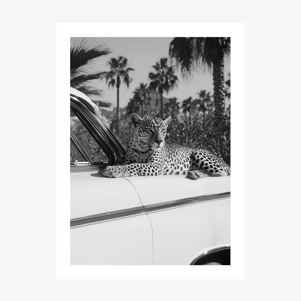 Hollywood Leopard wall art print