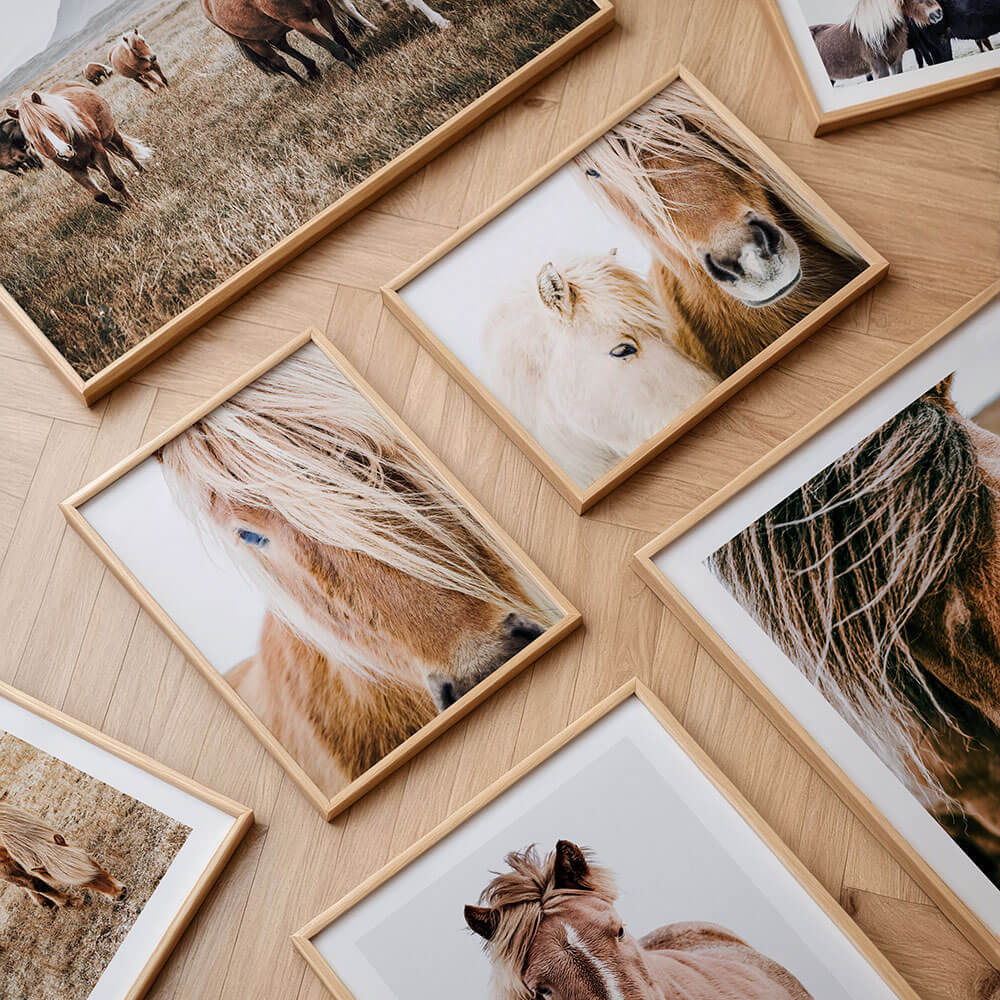 A collection of horse framed prints and posters.