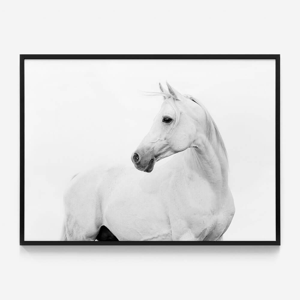 Horse Lover