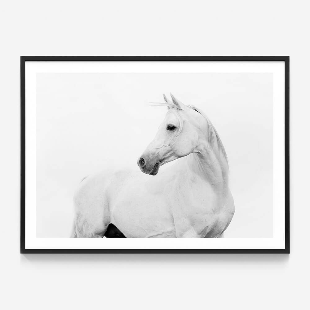 Horse Lover