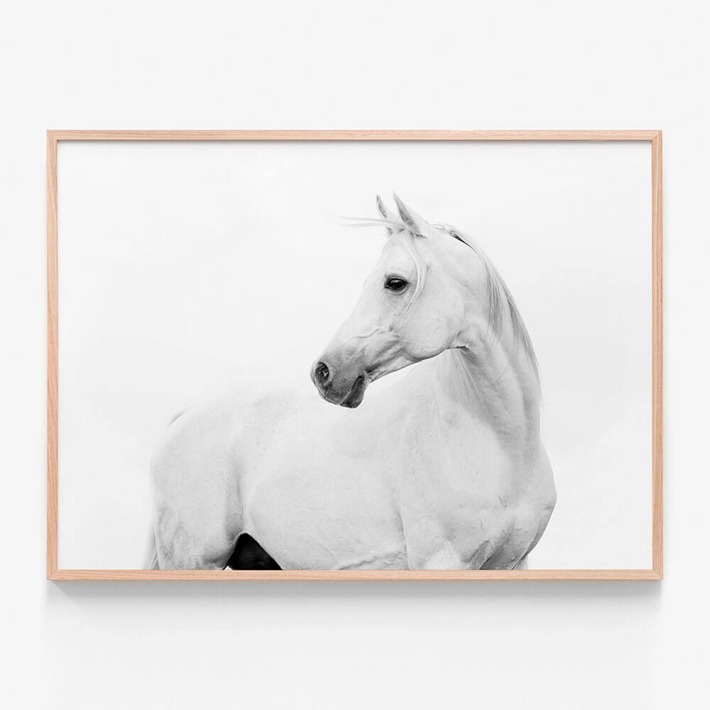 Horse Lover