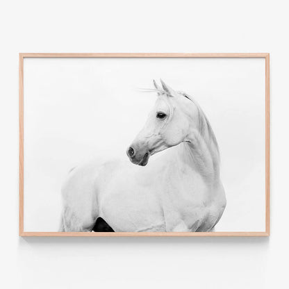 Horse Lover