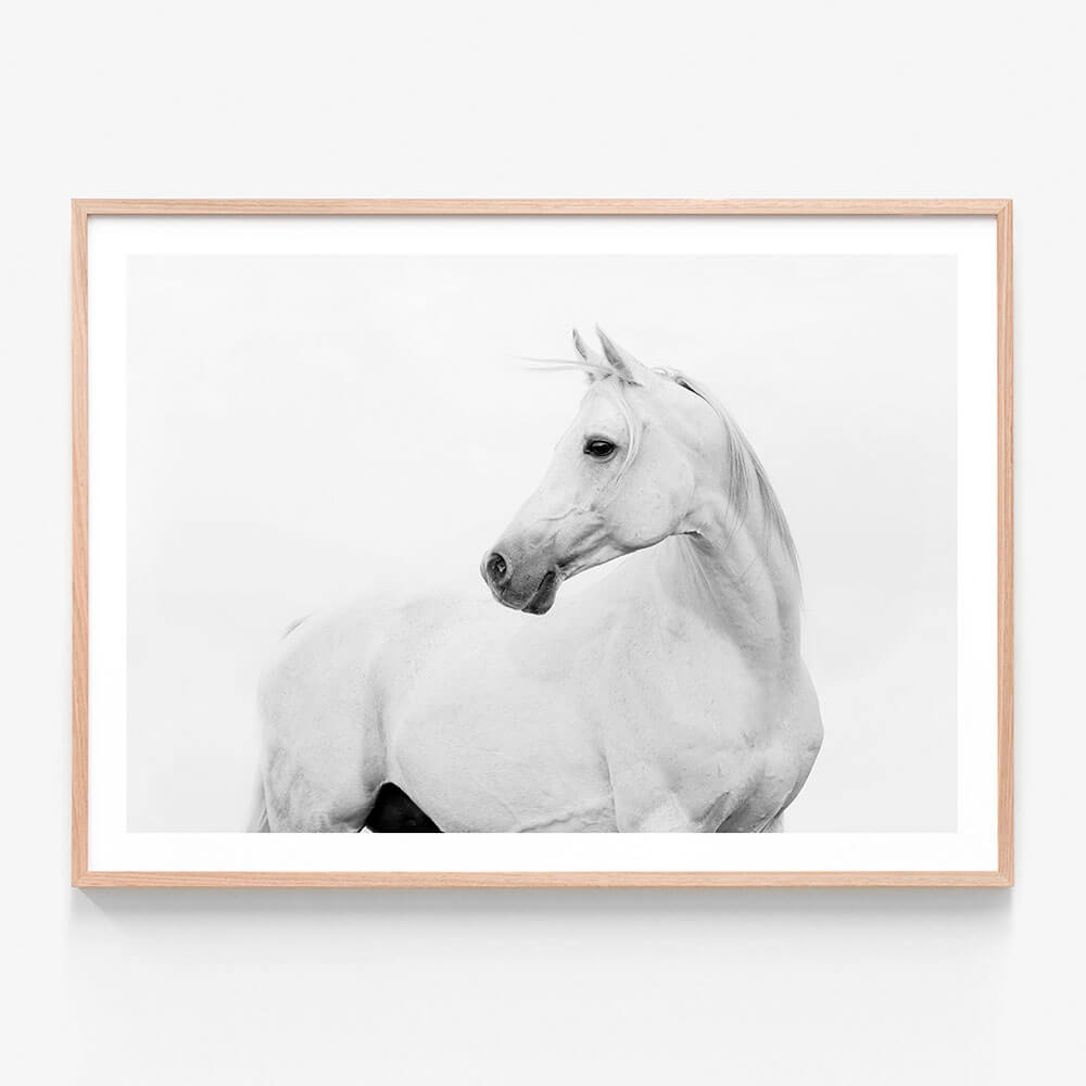 Horse Lover