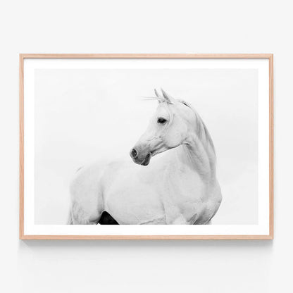 Horse Lover