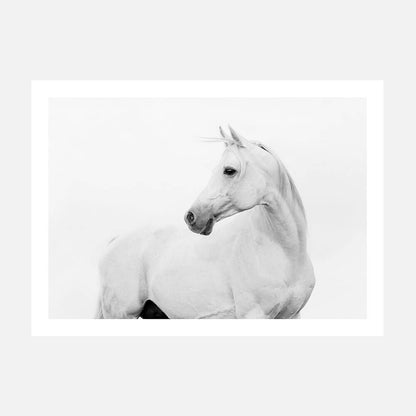Horse Lover