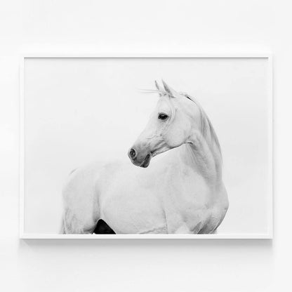 Horse Lover