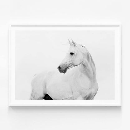 Horse Lover