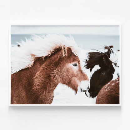 Icelandic Horses No. 2