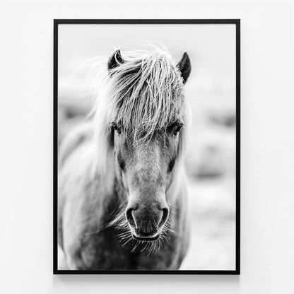Icelandic Portrait