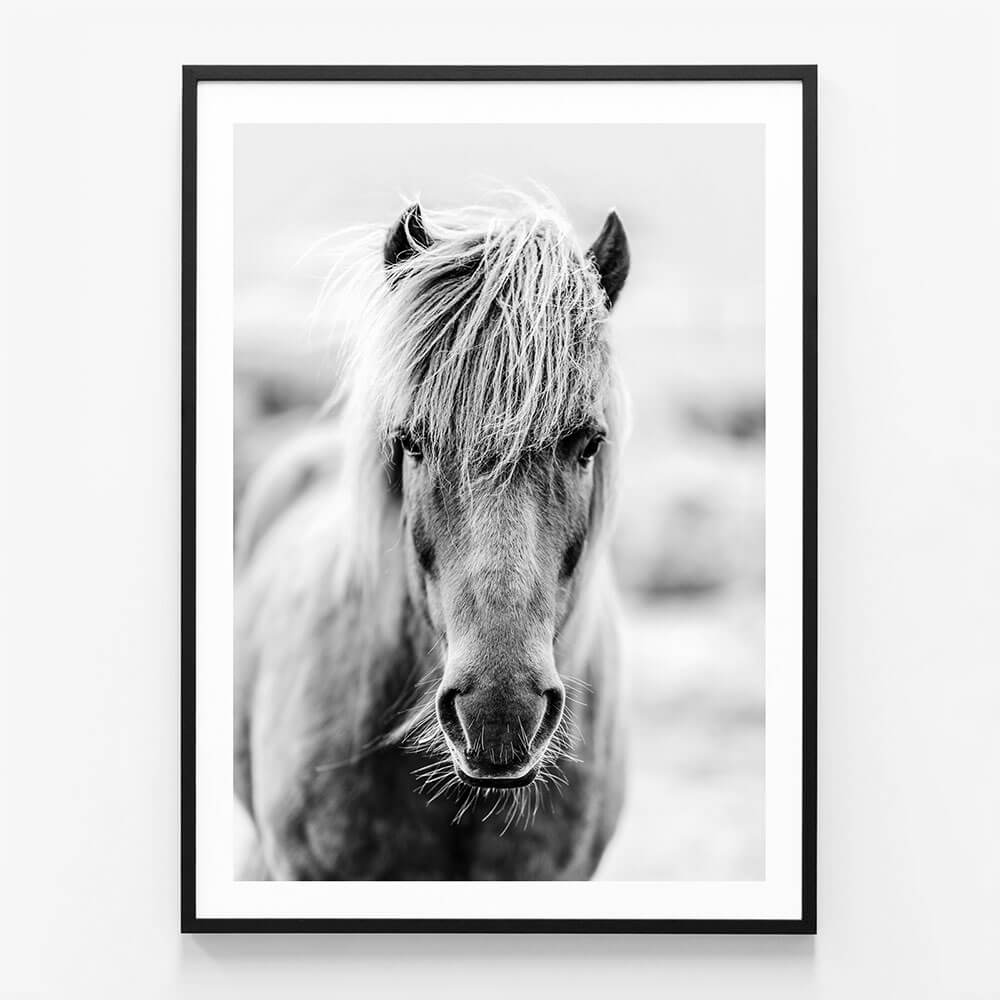 Icelandic Portrait