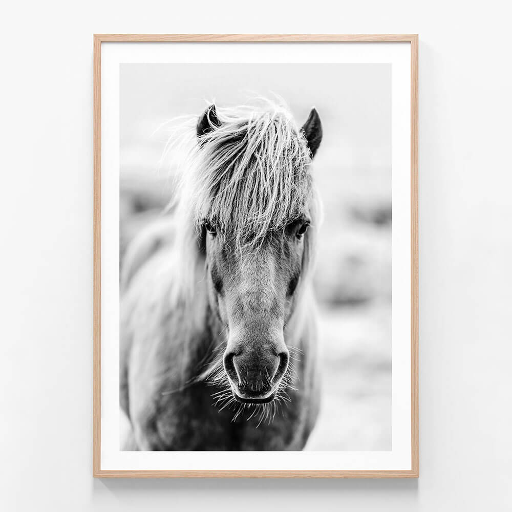 Icelandic Portrait