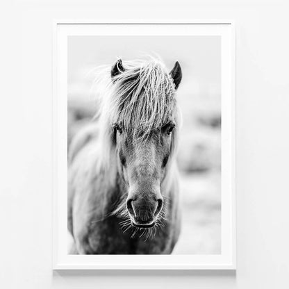 Icelandic Portrait