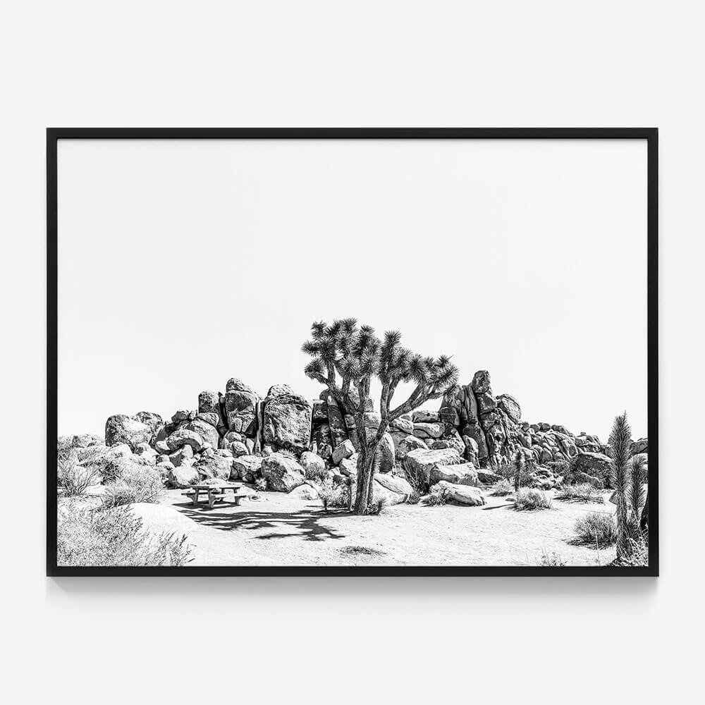 Indio B&W
