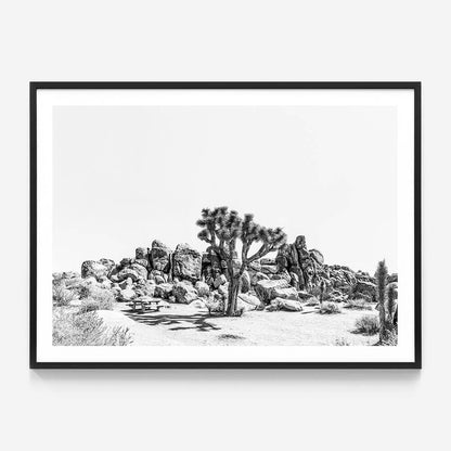 Indio B&W