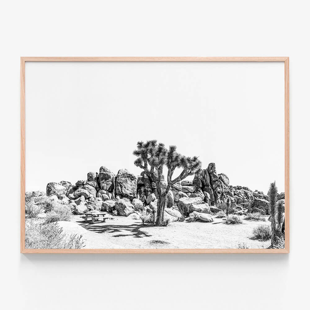 Indio B&W