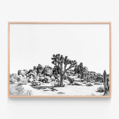 Indio B&W