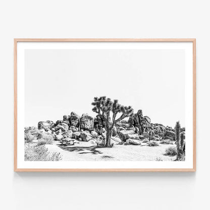 Indio B&W