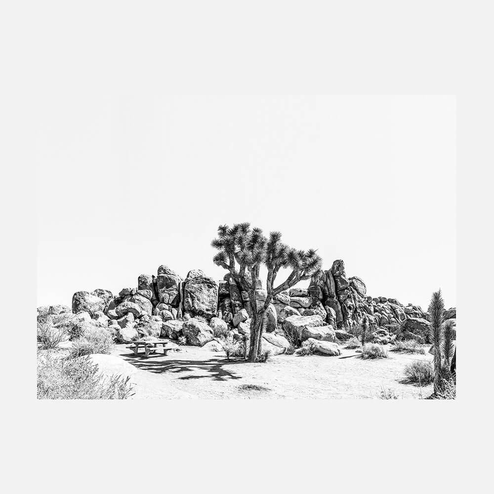 Indio B&W
